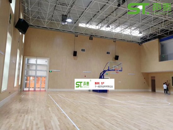 籃球館木質(zhì)穿孔吸音板(圖3) 籃球館木質(zhì)穿孔吸音板(圖3)