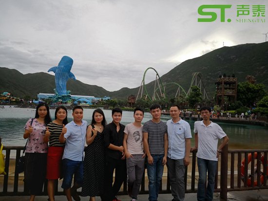 聲泰國內(nèi)營銷團(tuán)隊(duì)風(fēng)采展示(圖1)