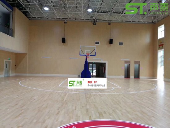 體育館環(huán)保防火吸音板(圖3) 體育館環(huán)保防火吸音板(圖3)