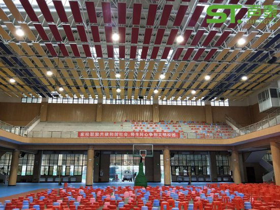 體育館懸吊空間吸聲體(圖3) 體育館懸吊空間吸聲體(圖3)