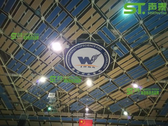 體育吸聲體間距多少才符合標準(圖2) 體育吸聲體間距多少才符合標準(圖2)